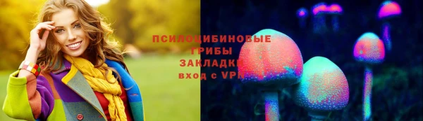 a pvp Абаза